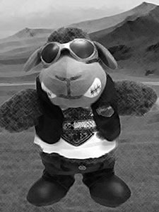Hotel Liaison Officer - Los Cojones